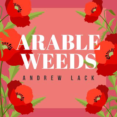 Arable Weeds with Andrew Lack Arable Weeds with Andrew Lack