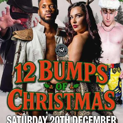 12 Bumps Of Christmas