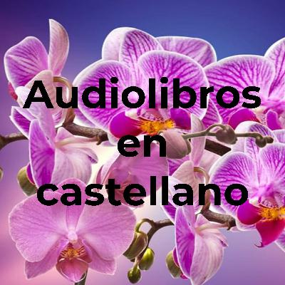 Mujercitas, Cap 43: Sorpresas. Louisa M. Alcott