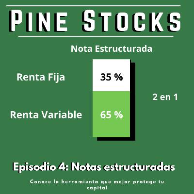 Notas Estructuradas