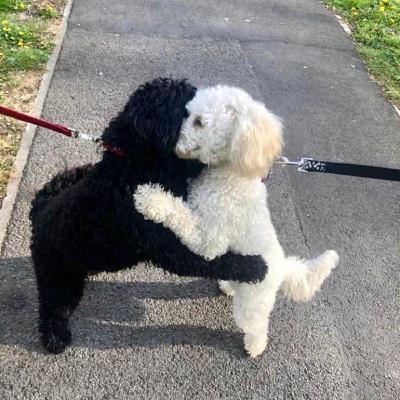 Me & My Vanilla Wafers