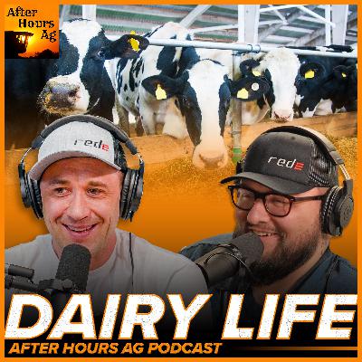 Why aren't there more thriving Dairy Farms?