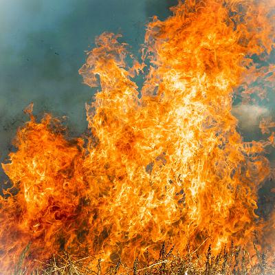 “Törnets och Eldens Gud” – Joel Göranson