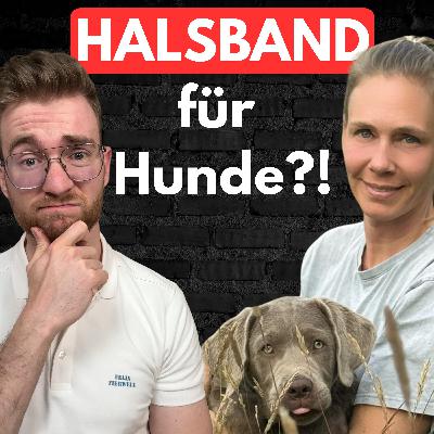#16 Hundehalsband oder Gefahr? Das musst du wissen!