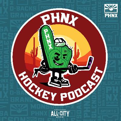 Are We ANY Closer To The NHL's RETURN to Arizona, One Year Later?