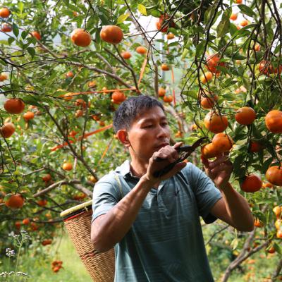 Bản tin vùng Đông Bắc ngày 13/12/2025