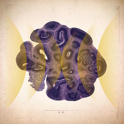 Brain Balls