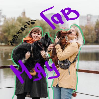 Трейлер 1 сезона подкаста "Мяу Гав"