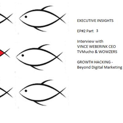 #2 Executive Insights Part 3 Growth Hacking - beyond digital marketing
