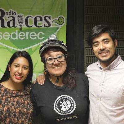 P2 Taller de bicicletas Quiquica e inserción laboral en la CDMX