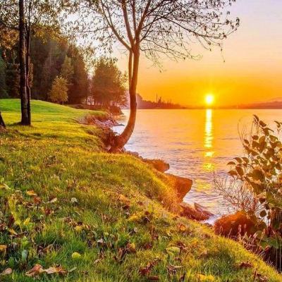 Podcast motivaciónal🍃💗