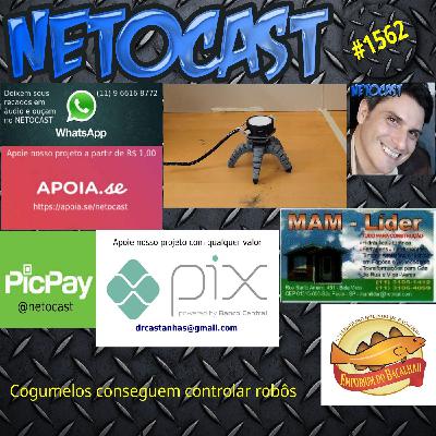NETOCAST 1562 DE 03 09 2024 - Cogumelos conseguem controlar um robô com impulsos elétricos