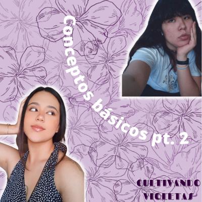 Conceptos básicos. (Parte 2, final)