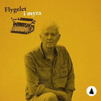 Dagens gjest: Chris Tvedt