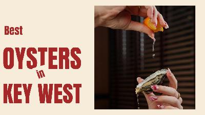 Tasty Tuesday: The Best Oyster Spots in Key West