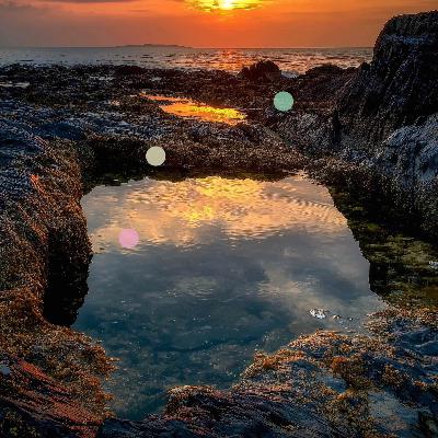 満ち潮に満たされる潮だまり|コーンウォールのナチュラル・インフィニティプール 満ち潮に満たされる潮だまり|コーンウォールのナチュラル・インフィニティプール