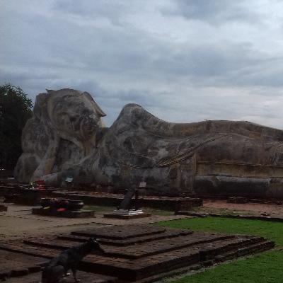 Karma, Rebirth, and the Middle Path of Buddhism