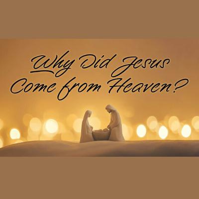 Born to Bear Our Sin