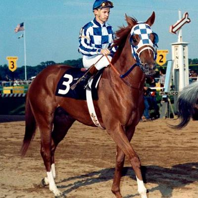 Secretariat Secretariat