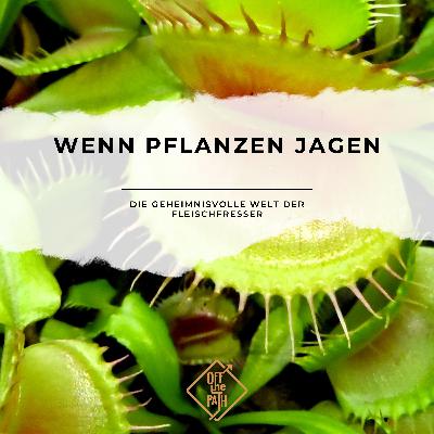 Wenn Pflanzen jagen: Die geheimnisvolle Welt der Fleischfresser Wenn Pflanzen jagen: Die geheimnisvolle Welt der Fleischfresser