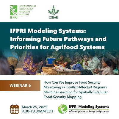 How Can We Improve Food Security Monitoring in Conflict-Affected Regions?