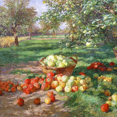 EP20 婚育有理,早恋是罪?在压抑成长中寻找现实与浪漫的边界 EP20 婚育有理,早恋是罪?在压抑成长中寻找现实与浪漫的边界