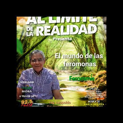 El mundo de las feromonas