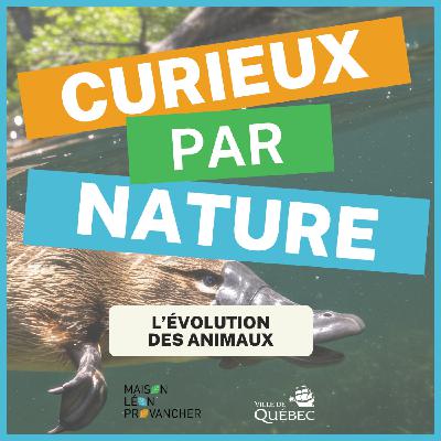 Curieux par Nature: L'évolution des animaux