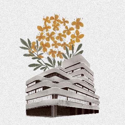 Трейлер. Ценности Вильнюса – ценности архитектуры.