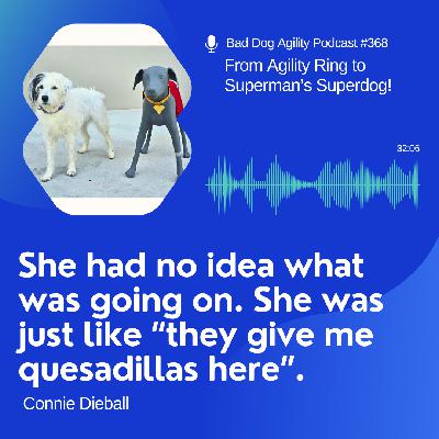 368: From Agility Ring to Superman’s Superdog!