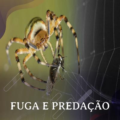 Fuga e evitação da Predação - Com Felipe Malheiros Gawryszewski Fuga e evitação da Predação - Com Felipe Malheiros Gawryszewski