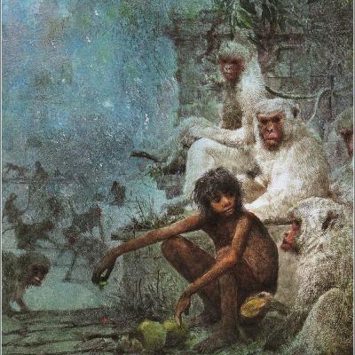 Niños Ferales