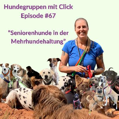 Seniorenhunde in der Mehrhundehaltung Seniorenhunde in der Mehrhundehaltung