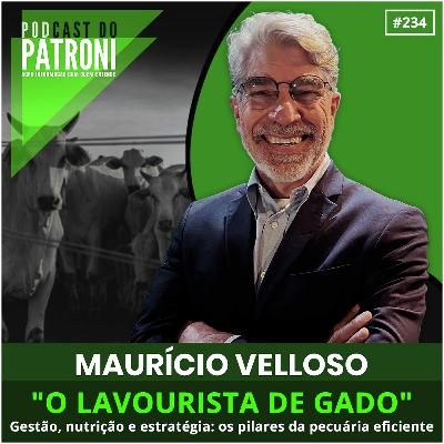 #234 - O lavourista de gado