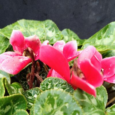 実践、ピアノ瞑想法1 実践、ピアノ瞑想法1