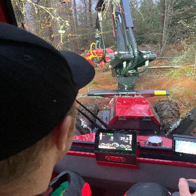 Avsnitt 62 - Har vi hittat det optimala gallringsupplägget?