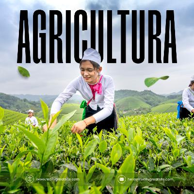 45Guía de Seguridad y Salud en el Trabajo para el sector agrario