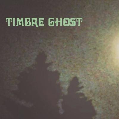 Duluth Band Profile: Timbre Ghost