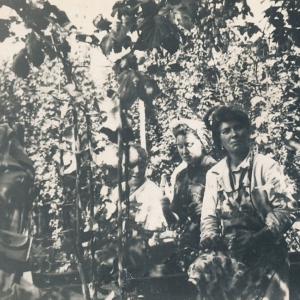 Seminar 1: Bohm, Trade as Architecture Seminar 1: Bohm, Trade as Architecture