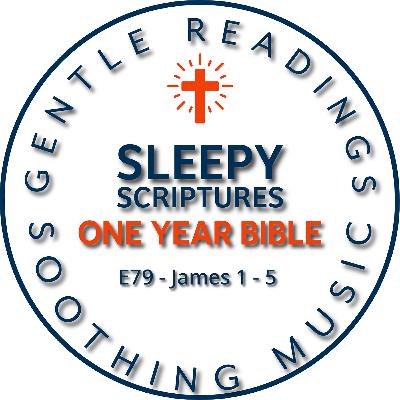 Wisdom for the Weary | Peaceful Reading of James Wisdom for the Weary | Peaceful Reading of James