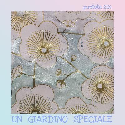 Puntata 226 - Un giardino speciale
