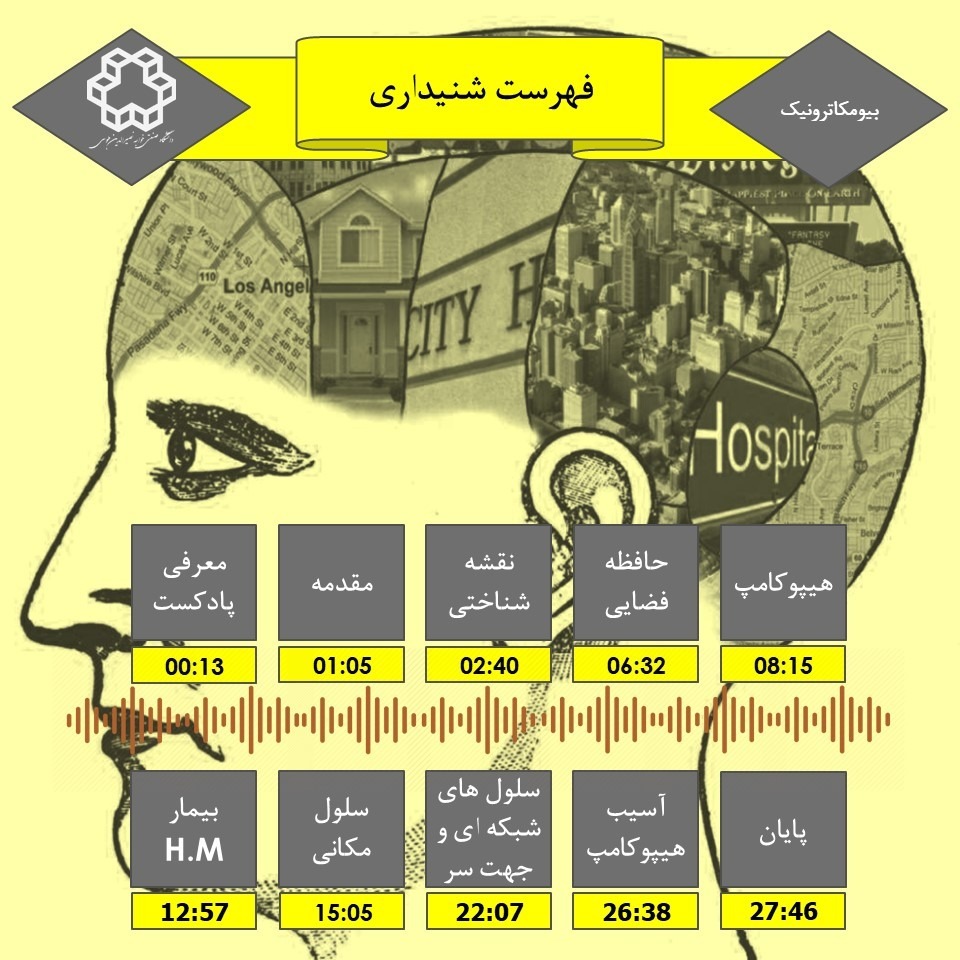 سی و هشت- ارتباط متقابل حرکت و حافظه