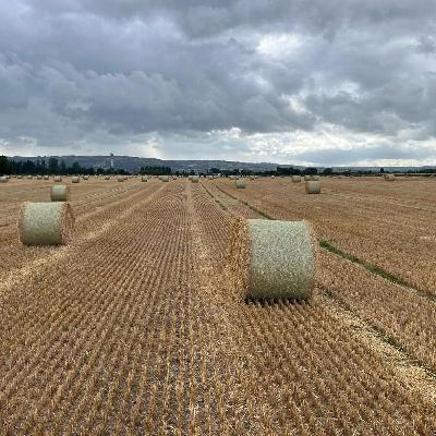 Harvest 2025 Update