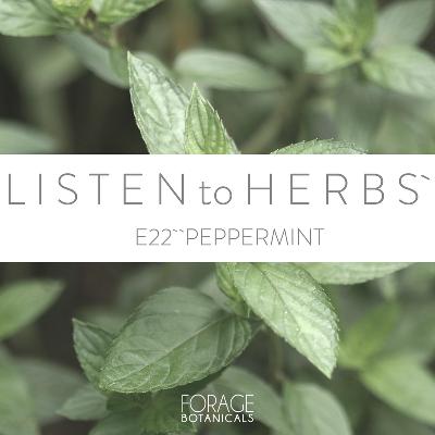 E22 Peppermint