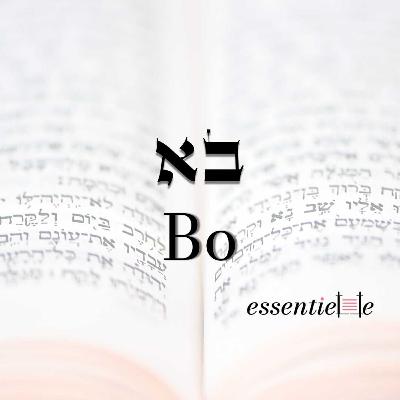 5786 - Bo - Sortir de sa zone de confort