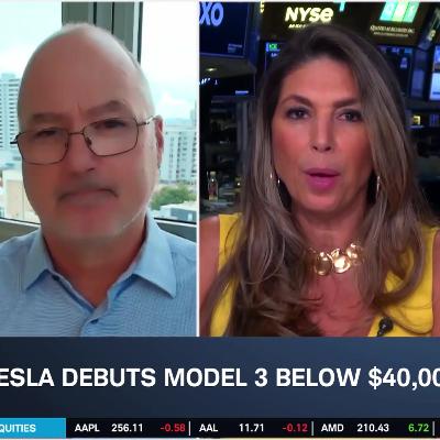 Cheaper Tesla Model Y & Model 3 "Sweet Spot" for Price, TSLA Sells Off