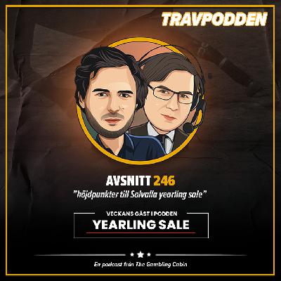 Avs 246 - Solvalla Yearling Sale del 4 av 4