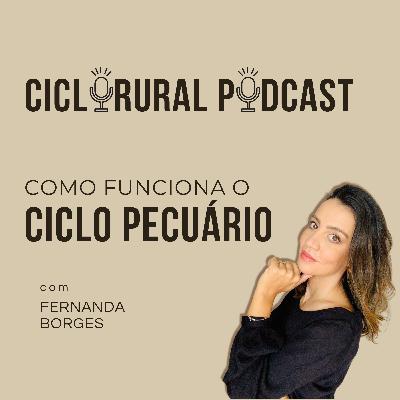 #016 - Como funciona o Ciclo Pecuário