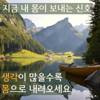 지금 내 몸이 보내는 신호 | 바디 스캔 명상 | 요가 니드라 Ep.3