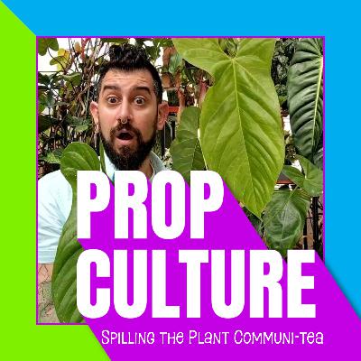 E08: "Are We Woke Yet?" Addressing Problematic Names. Our Guest Memo, aka Houseplanty Goodness, on the Future of Collecting and Green Dreams
